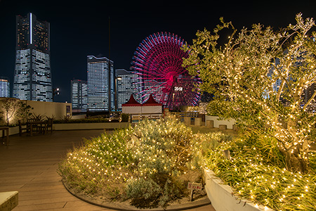 横浜ワールドポーターズ　ルーフガーデンの夜景