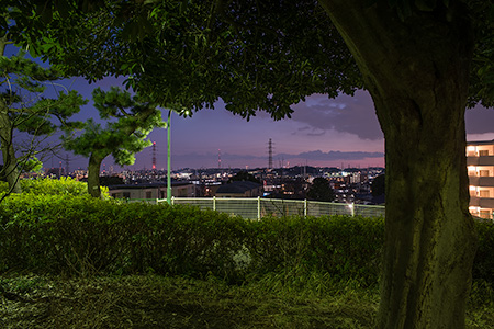 夢見ヶ崎公園の夜景