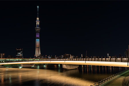 桜橋の夜景