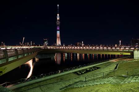 桜橋の夜景