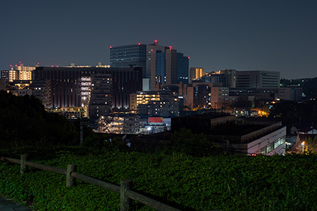 山王下緑地　展望広場の夜景