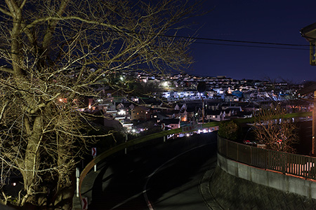 千枚原　歩道橋の夜景