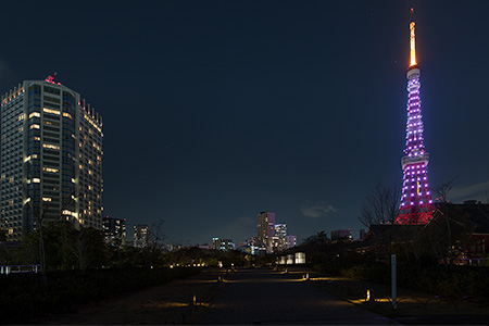 プリンス芝公園の夜景
