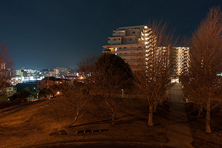 芝原公園の夜景
