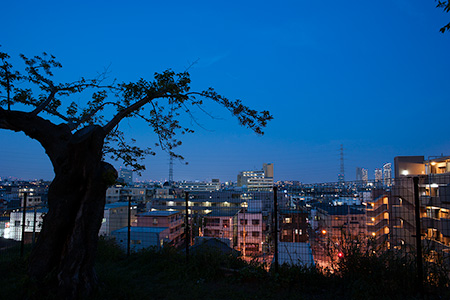 子母口公園の夜景