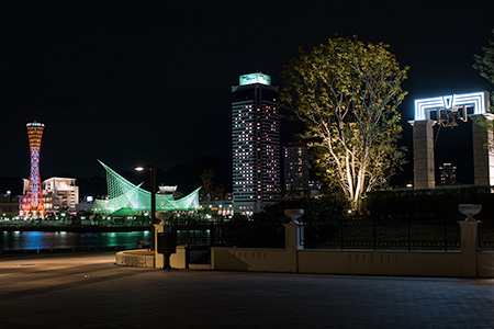 新港第一突堤緑地の夜景
