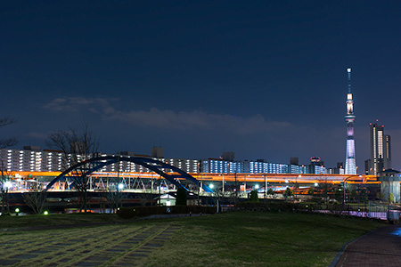 汐入公園の夜景