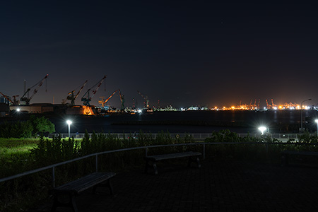 杉田臨海緑地の夜景