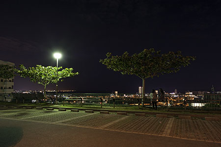 謝苅公園の夜景