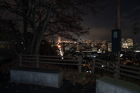 高観音近松寺の夜景