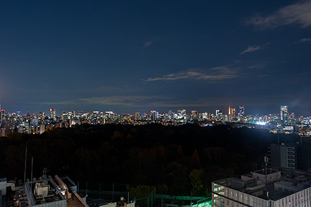 新宿高島屋タイムズスクエア　ホワイトガーデンの夜景