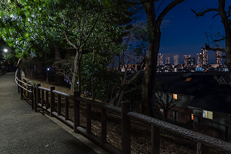 多摩川台公園の夜景