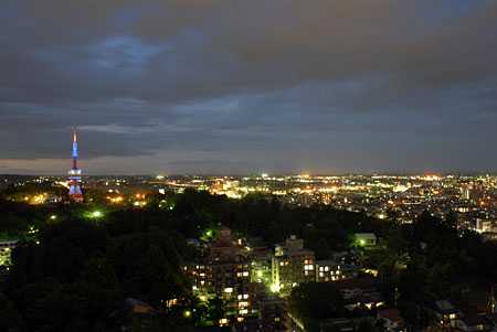 栃木県庁　展望ロビーの夜景