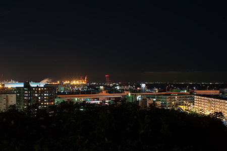 富岡総合公園　見晴らし台の夜景