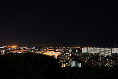 富岡総合公園　見晴らし台の夜景