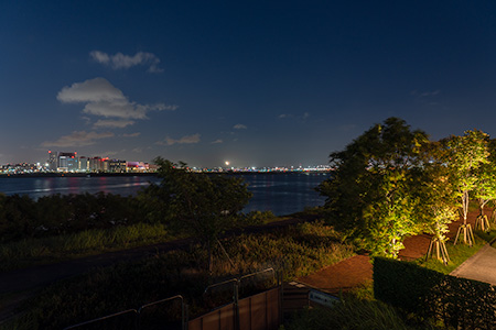 殿町第2公園の夜景