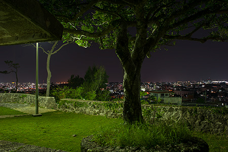虎瀬公園の夜景