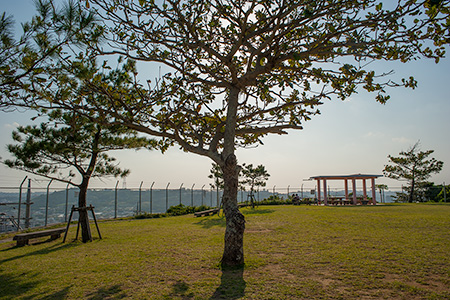 上間中央公園の夜景