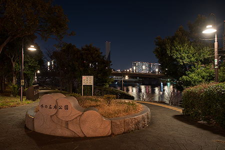 水の広場公園　中央地区の夜景