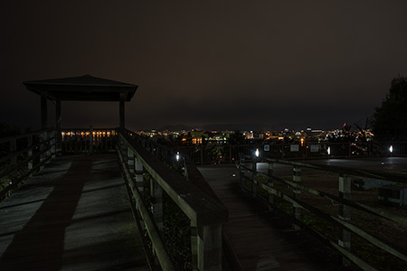 西公園・中央展望広場の夜景