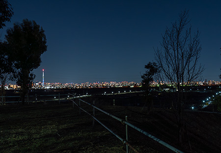 矢切富士見公園の夜景