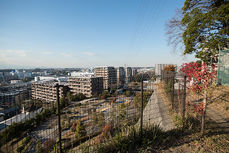 吉田町大日谷公園の夜景