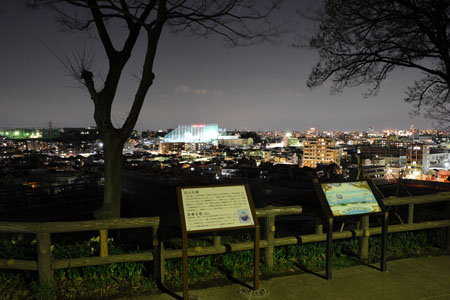 夢見ヶ崎動物公園の夜景