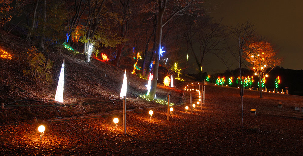 東京ドイツ村 クリスマス ニューイヤーイルミネーション こよなく夜景を愛する人へ